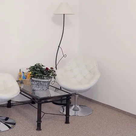 V Podzamci Ii. Apartment Melnik
